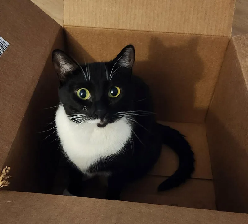 Sweet Sisters Sylvie & thumbnail 4