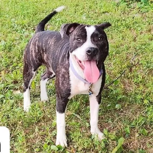 Precious Loves Kids thumbnail 2