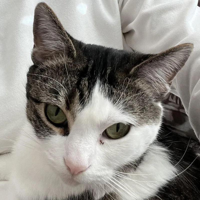 Willa  Home To thumbnail 2