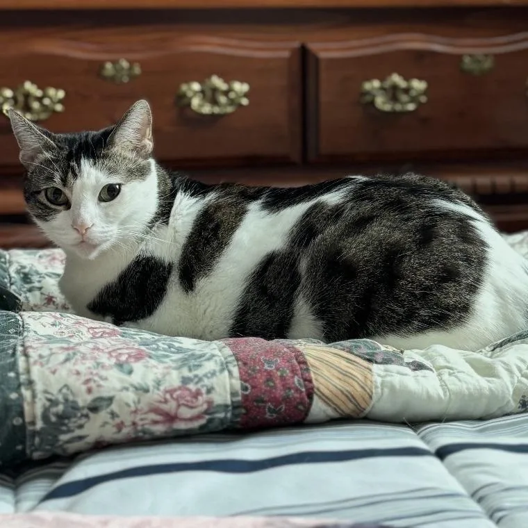 Willa  Home To thumbnail 3