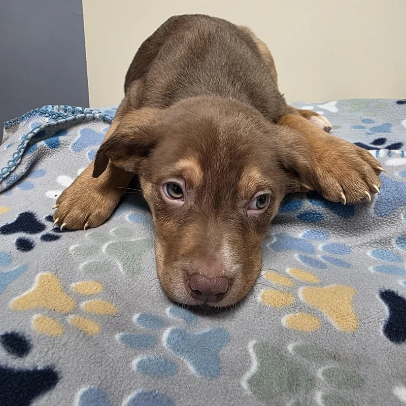 Guinness thumbnail 2