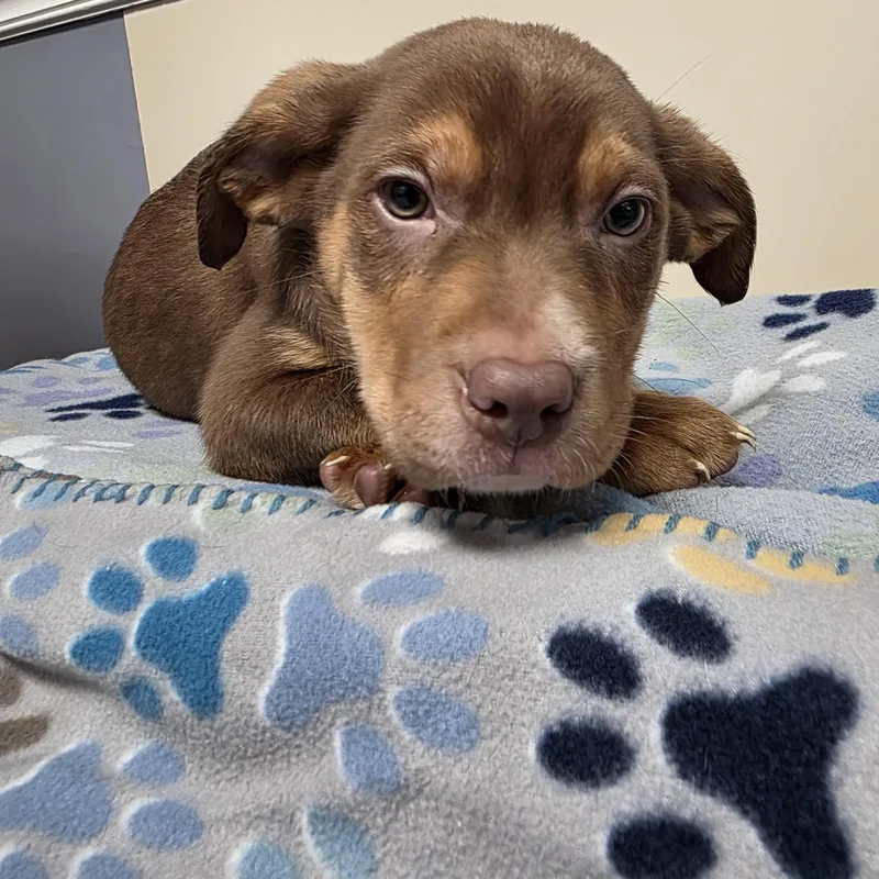 Guinness thumbnail 3