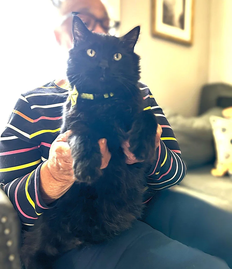 Pedro Pawscal thumbnail 3