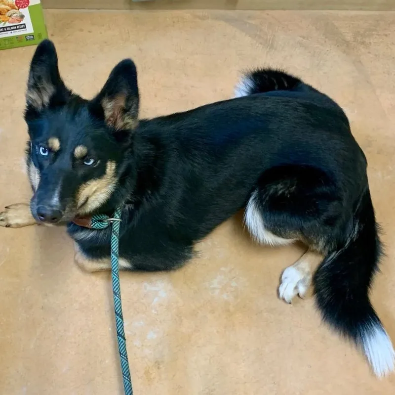 Princess thumbnail 3