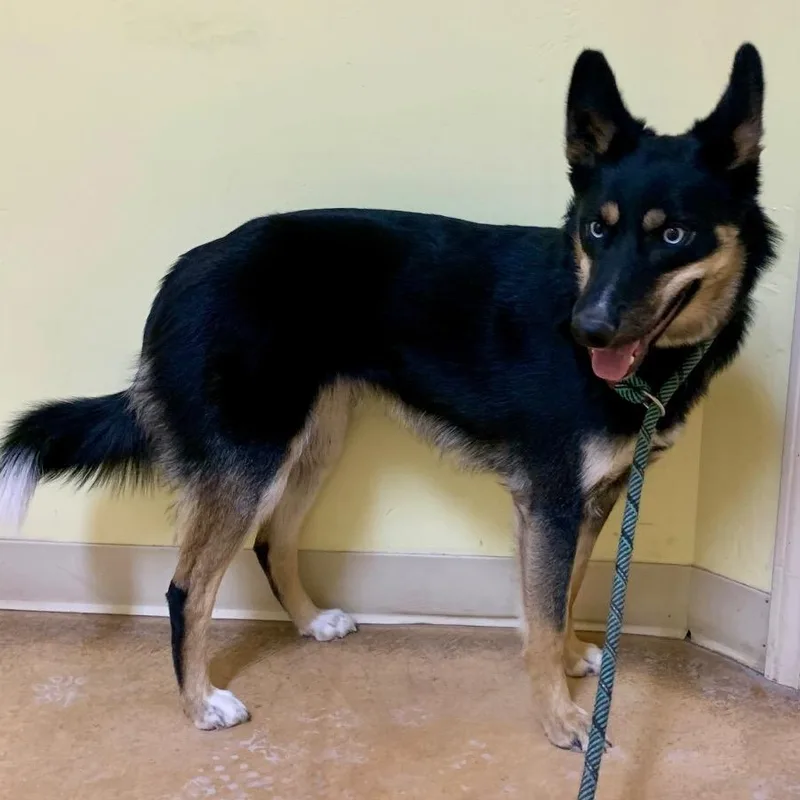 Princess thumbnail 4