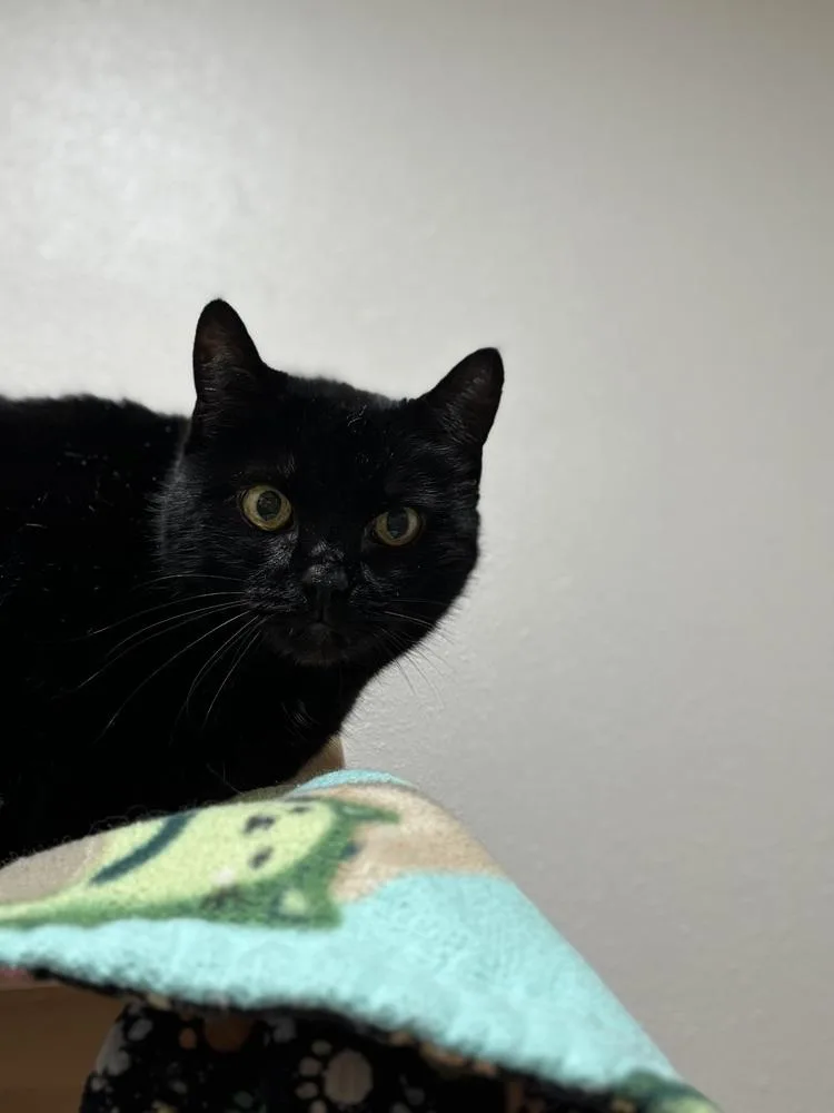 Lava Lamp thumbnail 2