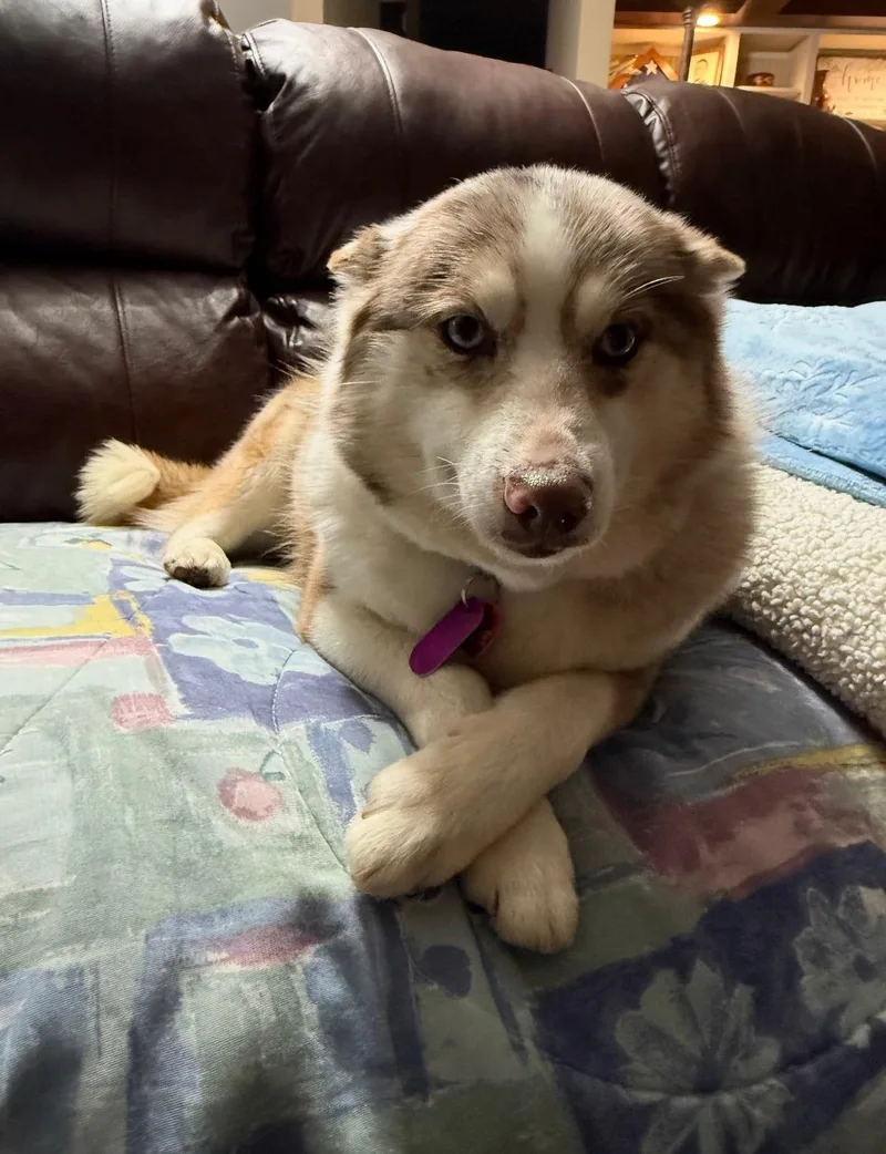 Callie!! thumbnail 2