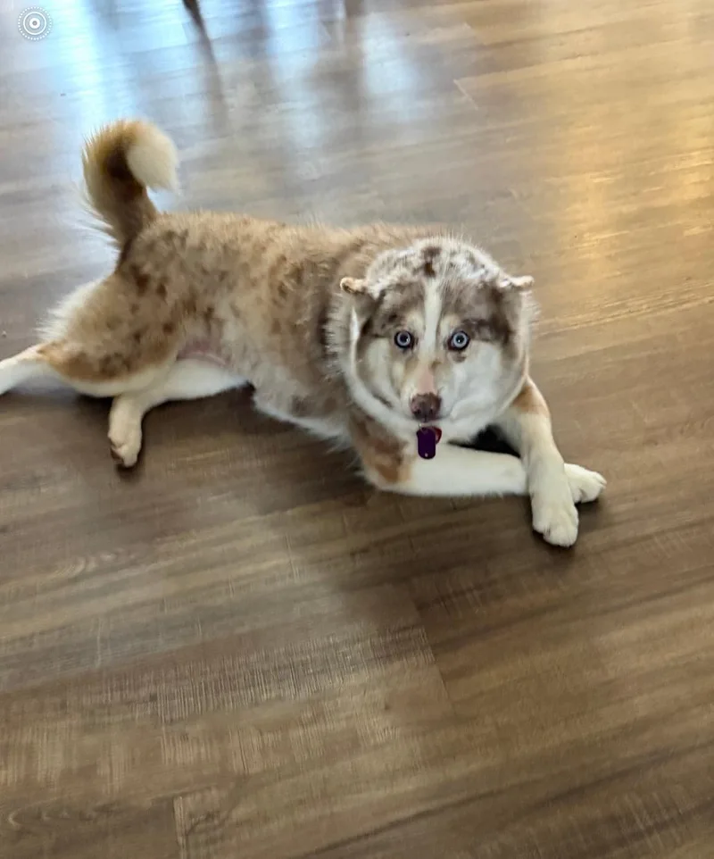 Callie!! thumbnail 3