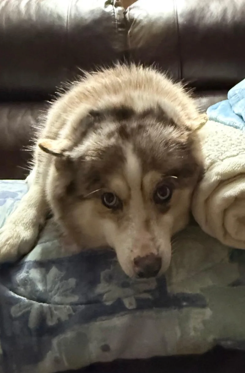 Callie!! thumbnail 4