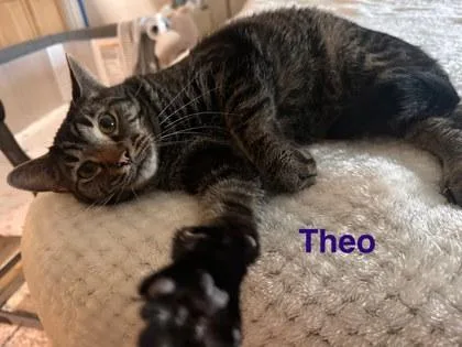 Theo thumbnail 2