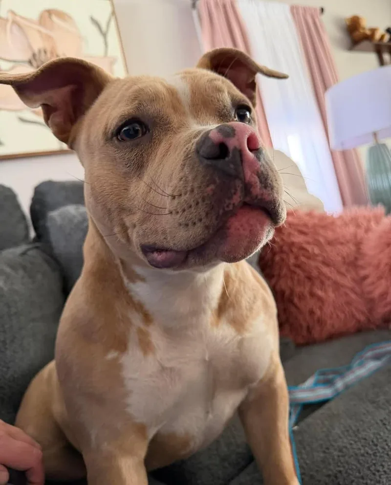 Maybelline thumbnail 2