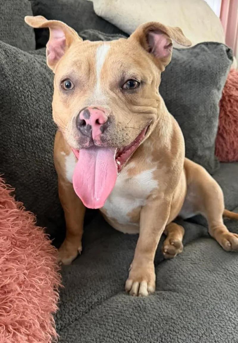 Maybelline thumbnail 3