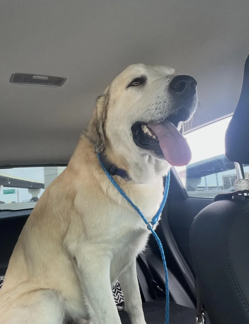 Timmy Montgomery  Tx thumbnail 2