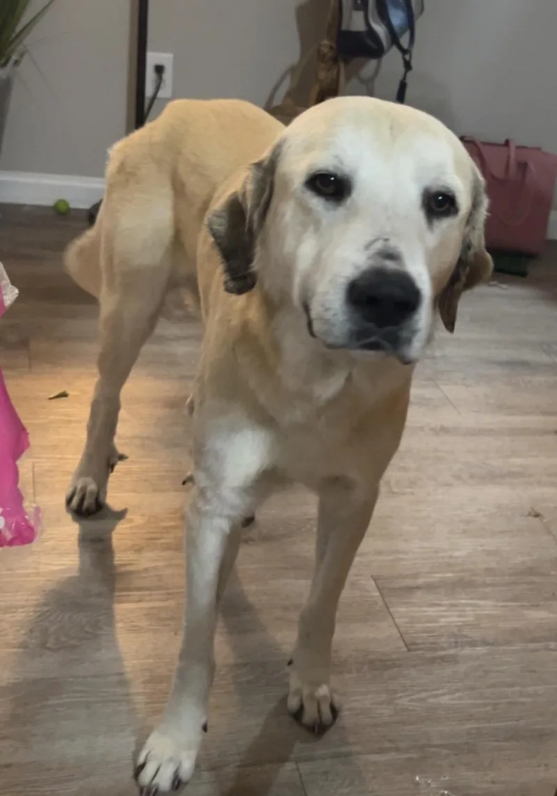 Timmy Montgomery  Tx thumbnail 3