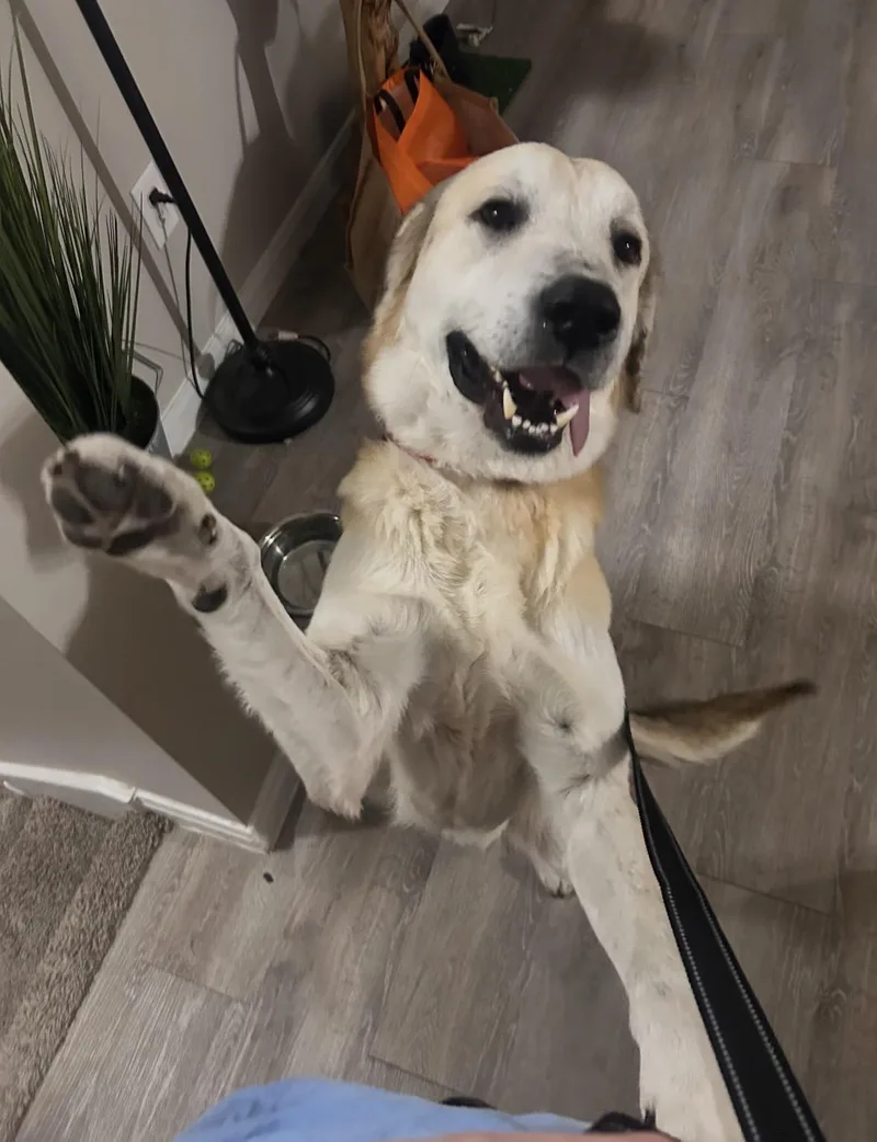 Timmy Montgomery  Tx thumbnail 4