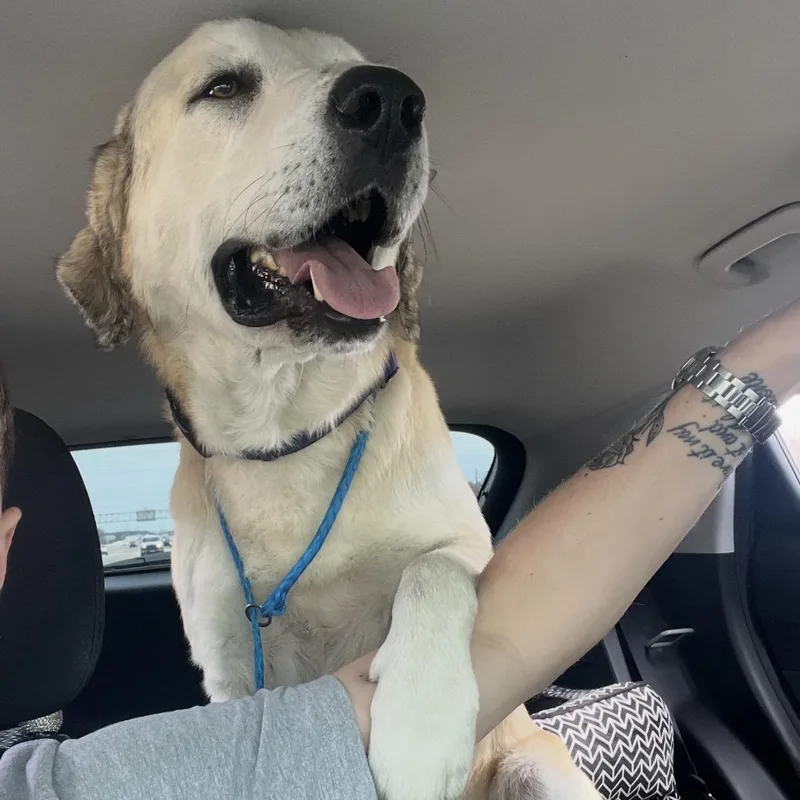 Timmy Montgomery  Tx thumbnail 5