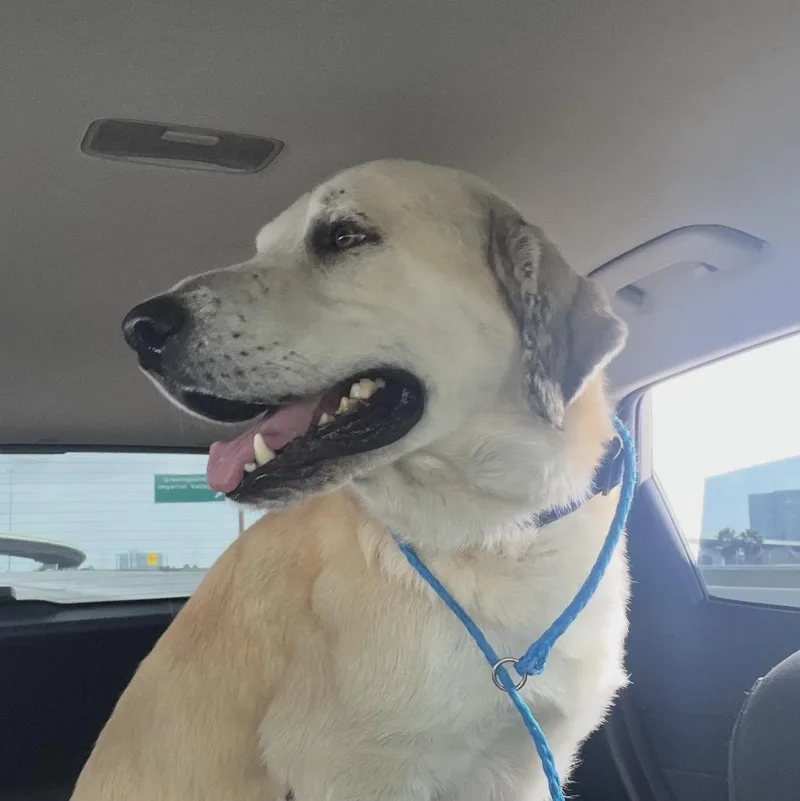 Timmy Montgomery  Tx