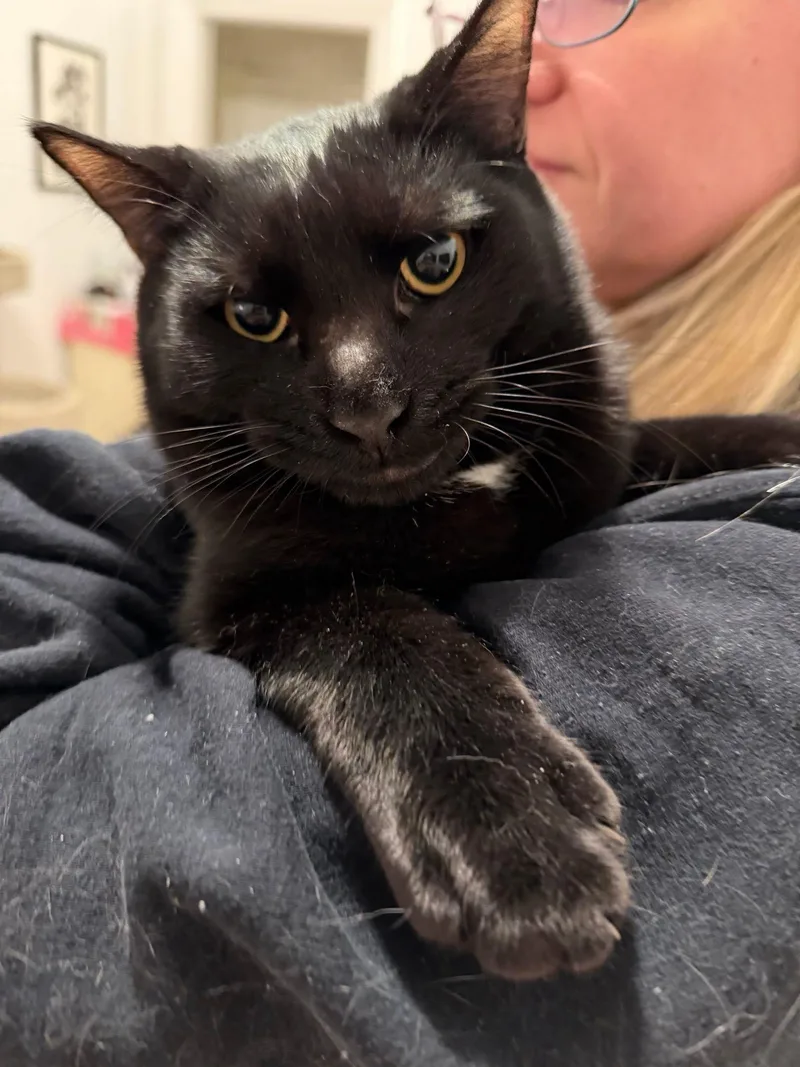 Whitney N – Sweetest thumbnail 2