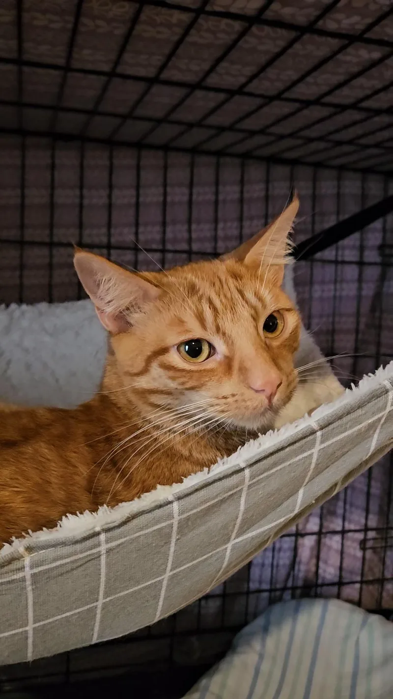 Jeremy N –  thumbnail 2