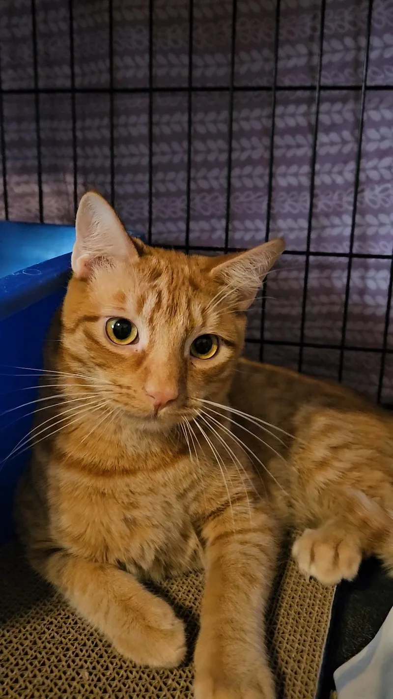 Jeremy N –  thumbnail 3