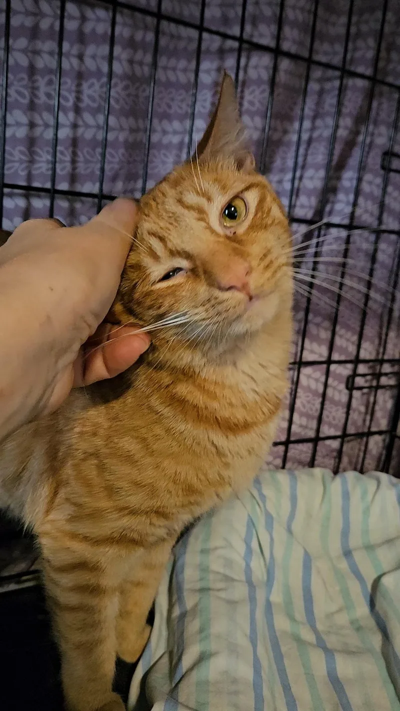 Jeremy N –  thumbnail 4