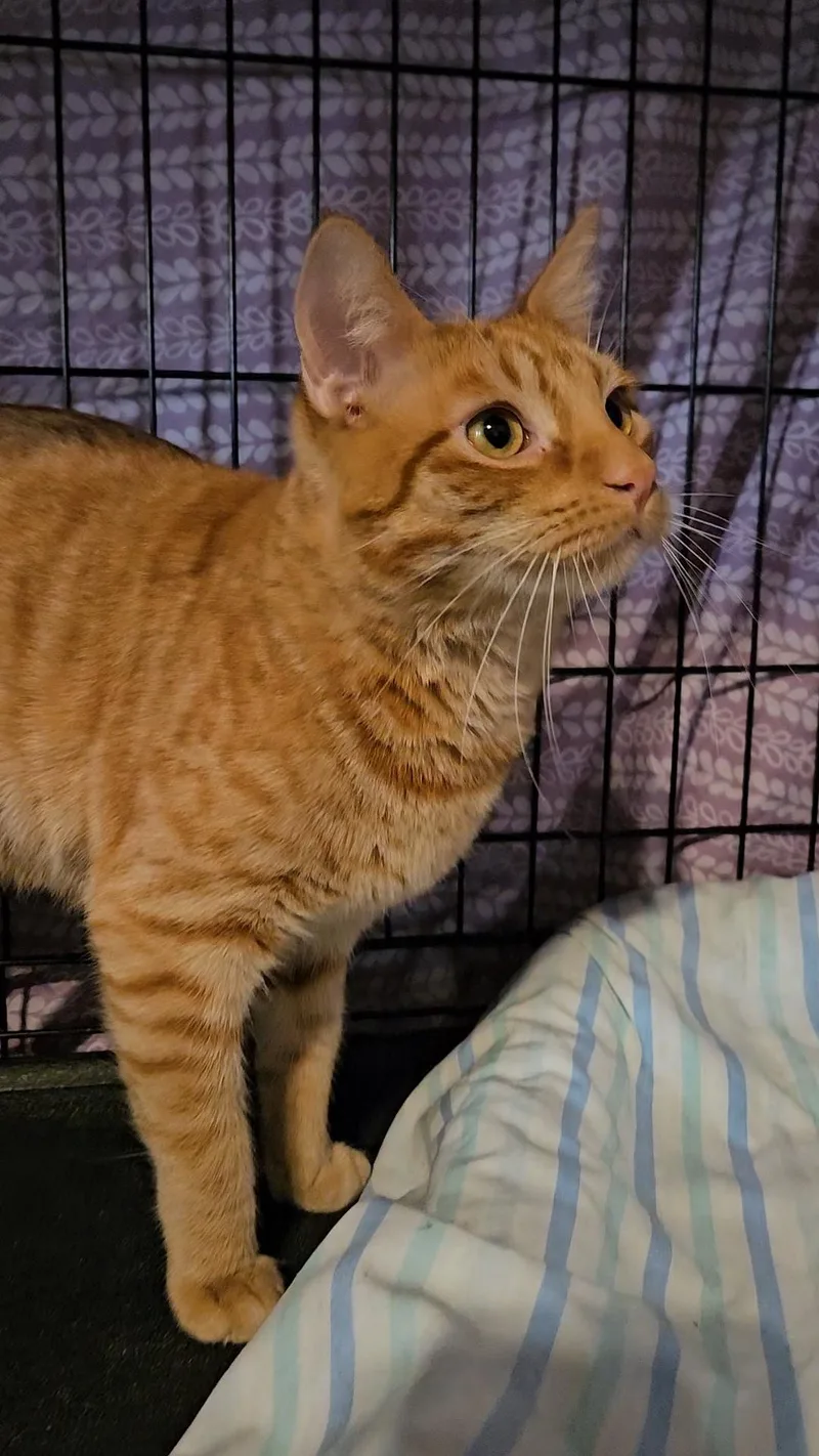 Jeremy N –  thumbnail 5