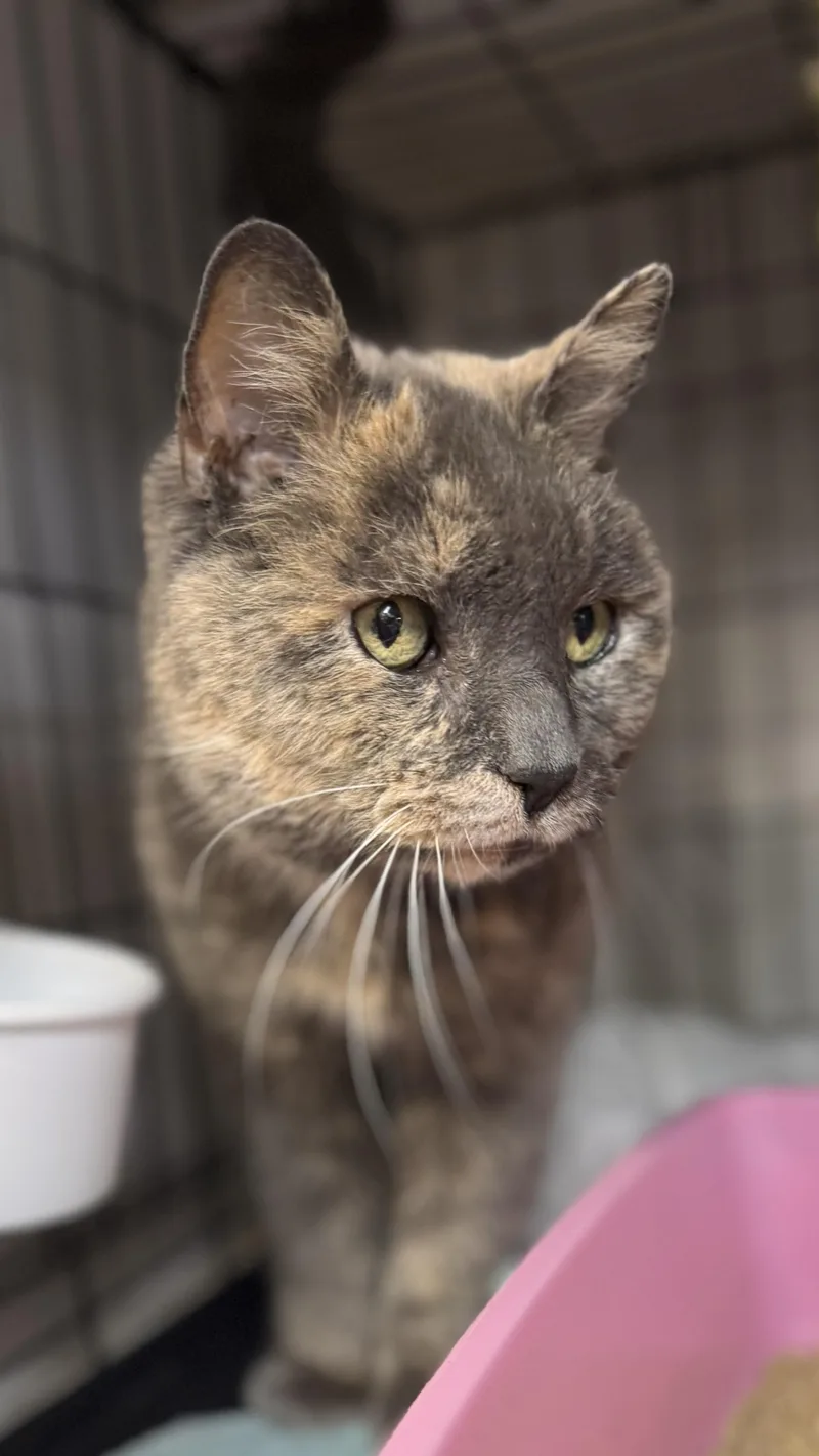 Maddy N – Soft thumbnail 2