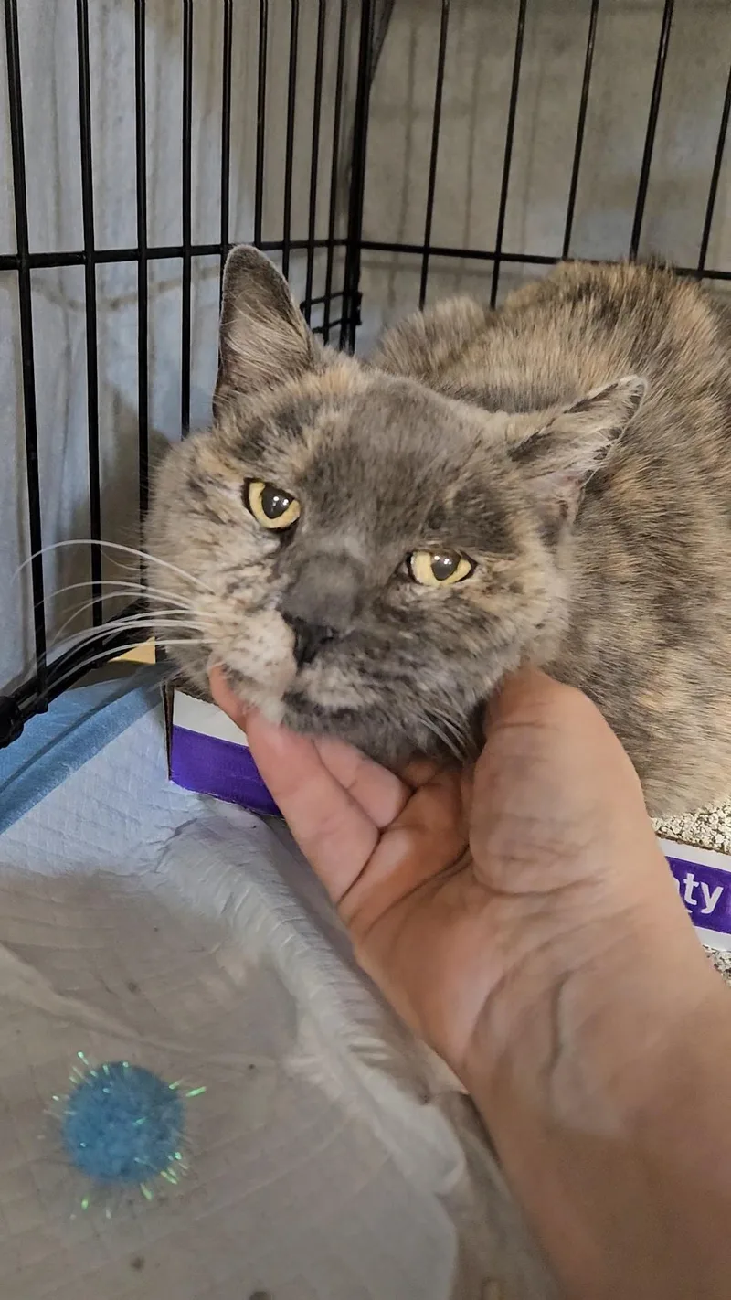 Maddy N – Soft thumbnail 3