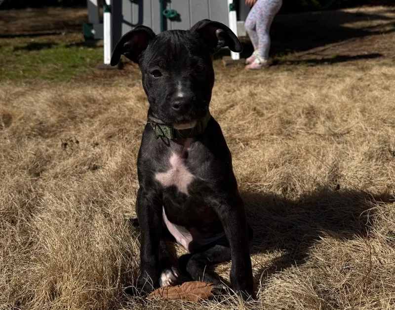 Doc Martin thumbnail 2