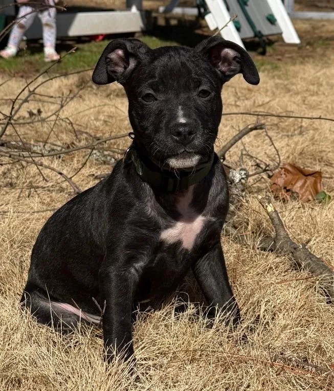 Doc Martin thumbnail 3