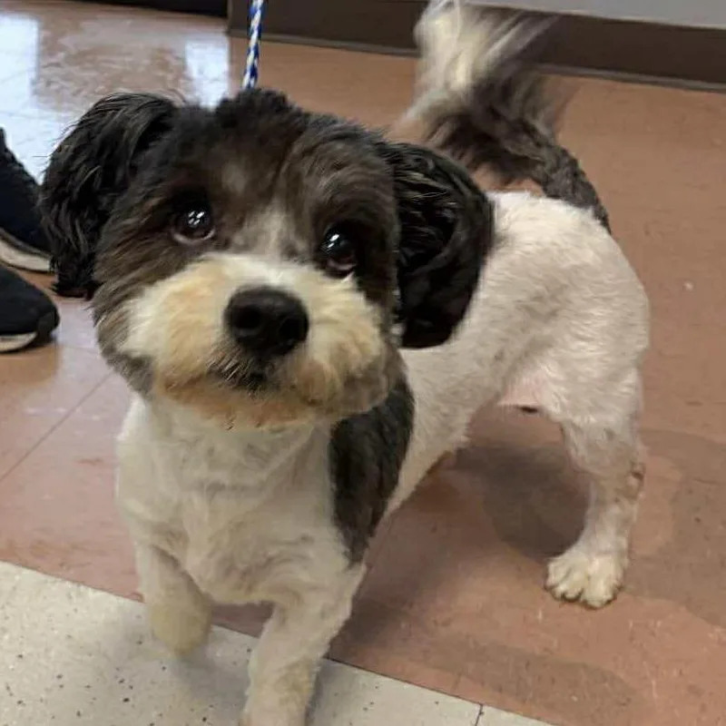 Tippy Wilder thumbnail 2