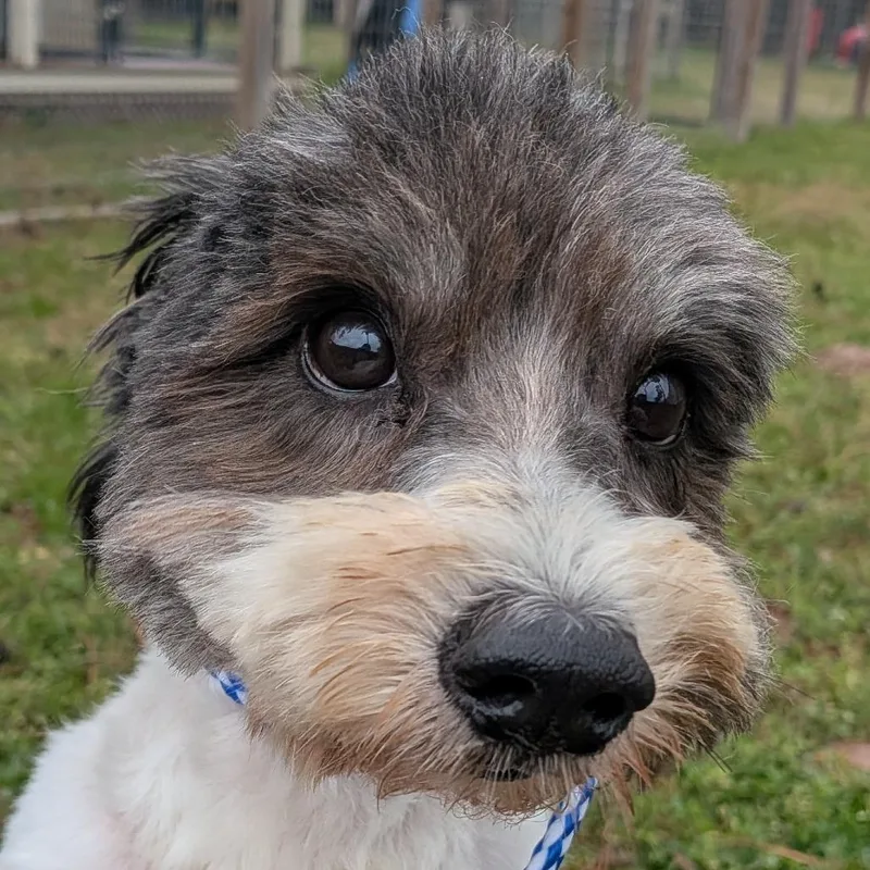 Tippy Wilder thumbnail 3