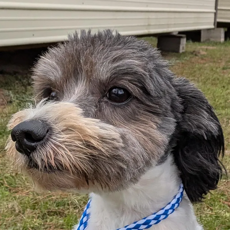 Tippy Wilder thumbnail 4