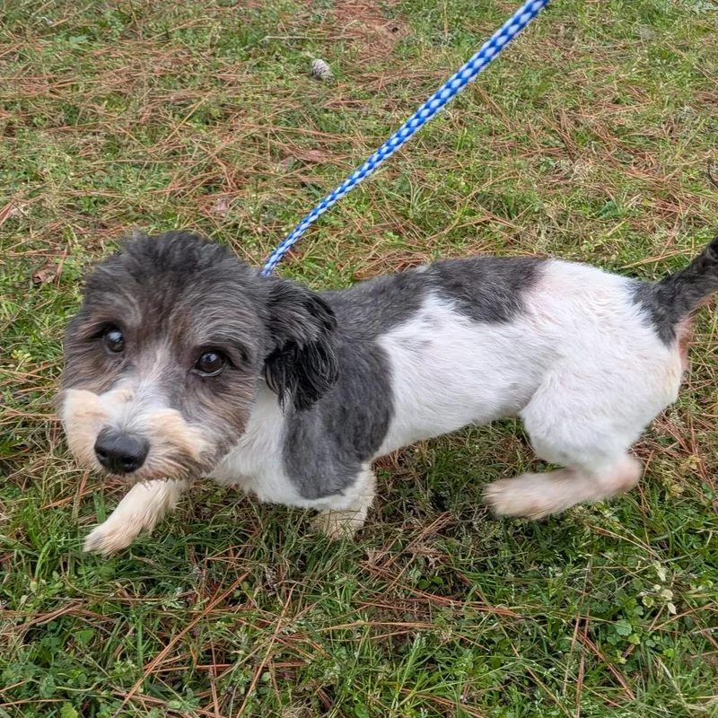 Tippy Wilder thumbnail 5