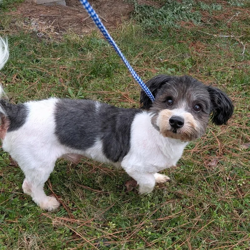 Tippy Wilder thumbnail 6