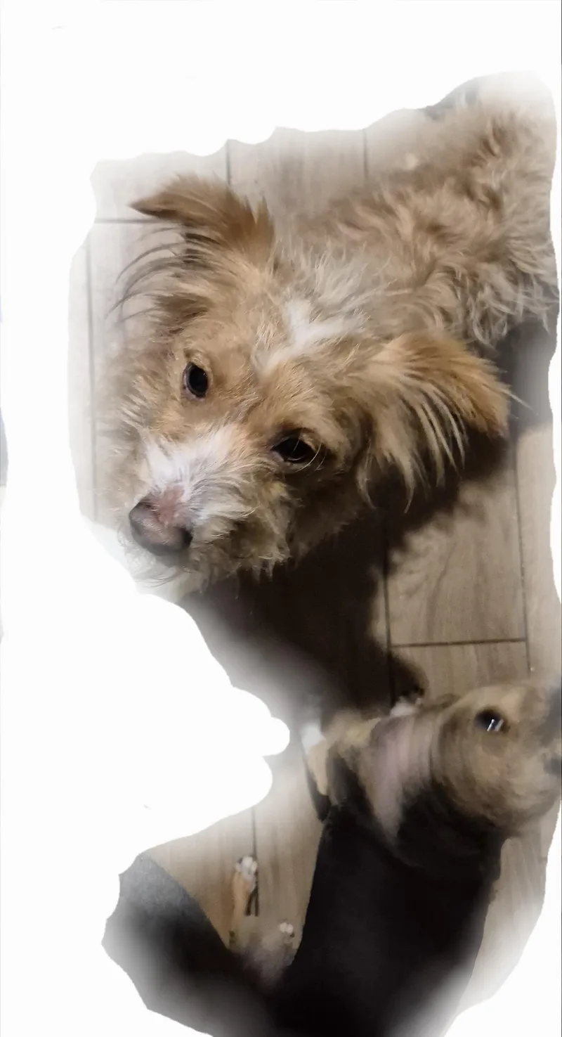 Frankie Valentino And Friends thumbnail 3