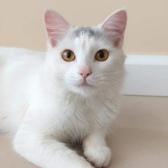 Christopher thumbnail 2