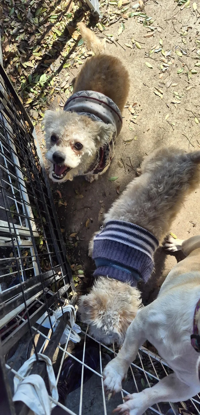 Snowflake thumbnail 2