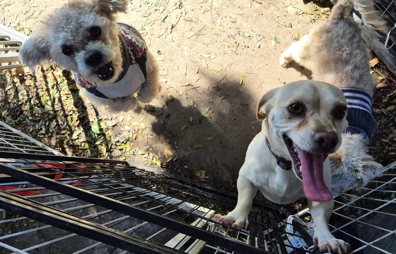 Snowflake thumbnail 6