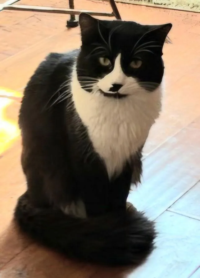 Teddy Bear thumbnail 2