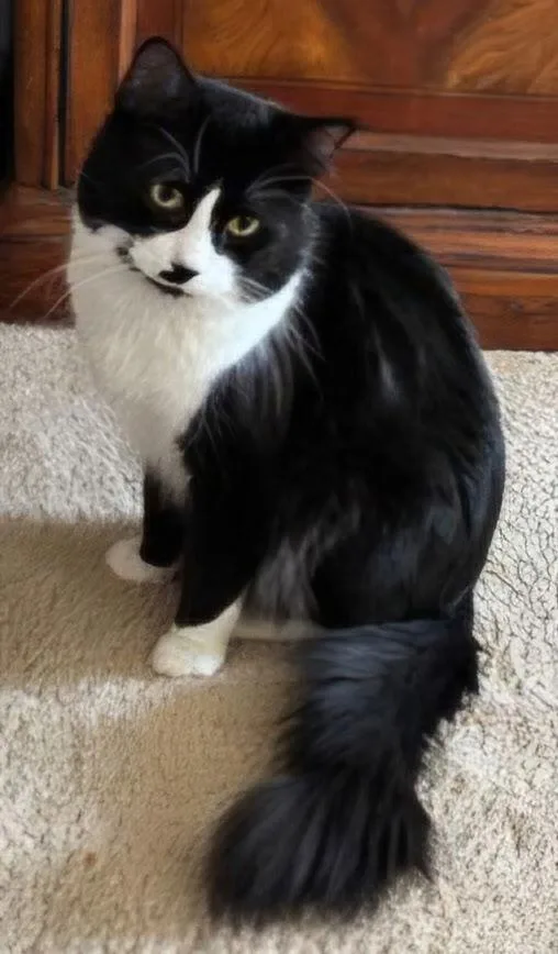 Teddy Bear thumbnail 3