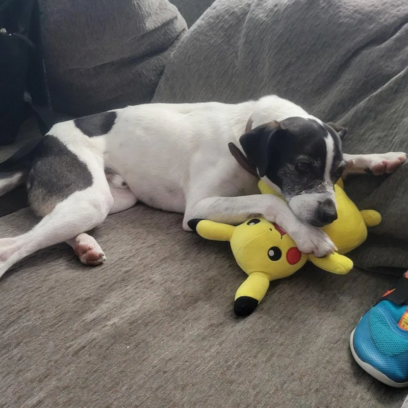 Ciabatta thumbnail 3