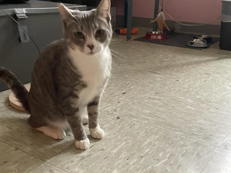 Valentina thumbnail 2