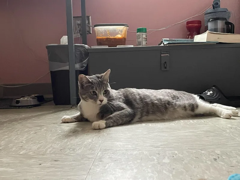 Valentina thumbnail 3