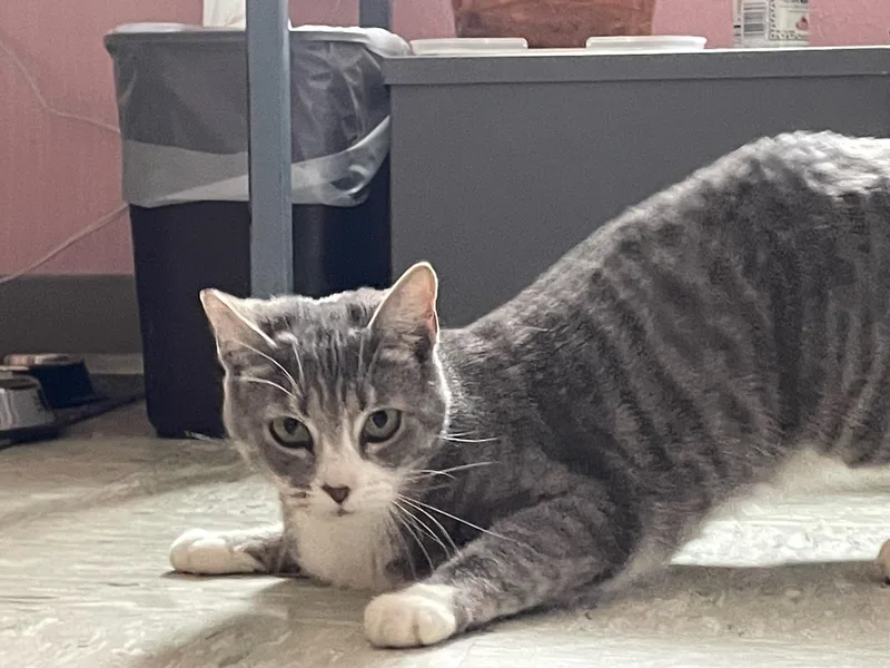 Valentina thumbnail 4