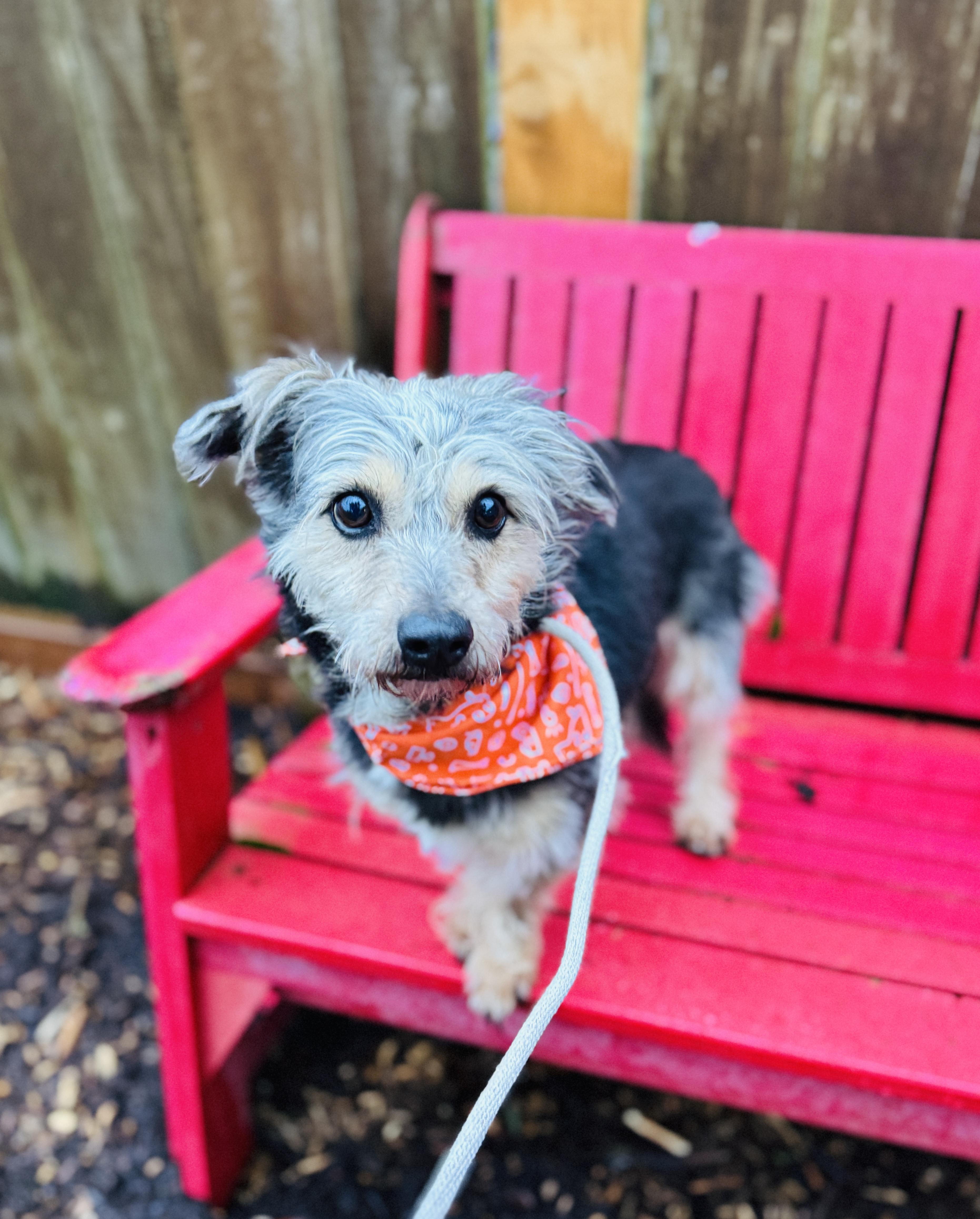 Lilianna thumbnail 2