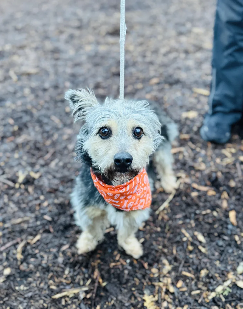 Lilianna thumbnail 3