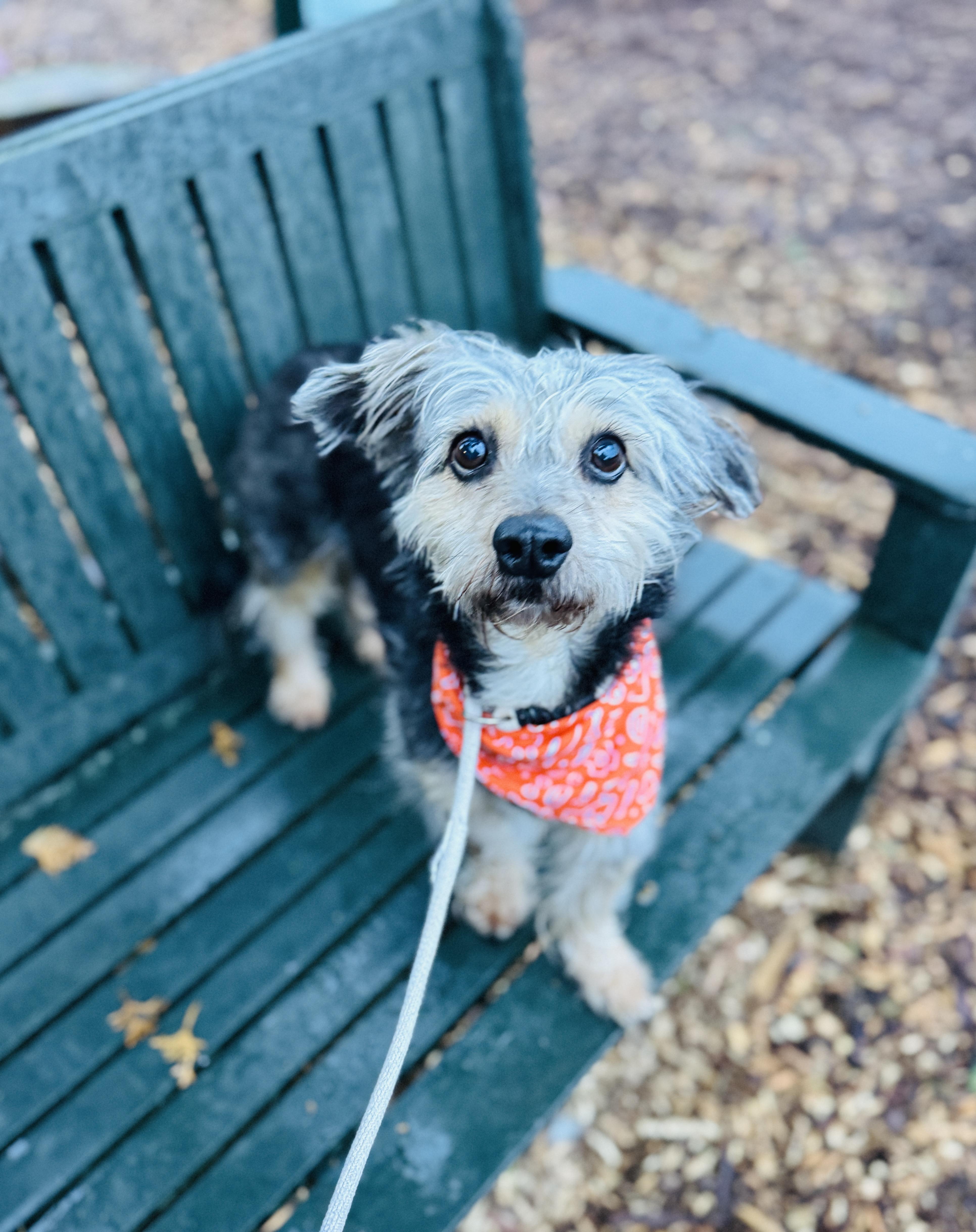 Lilianna thumbnail 5