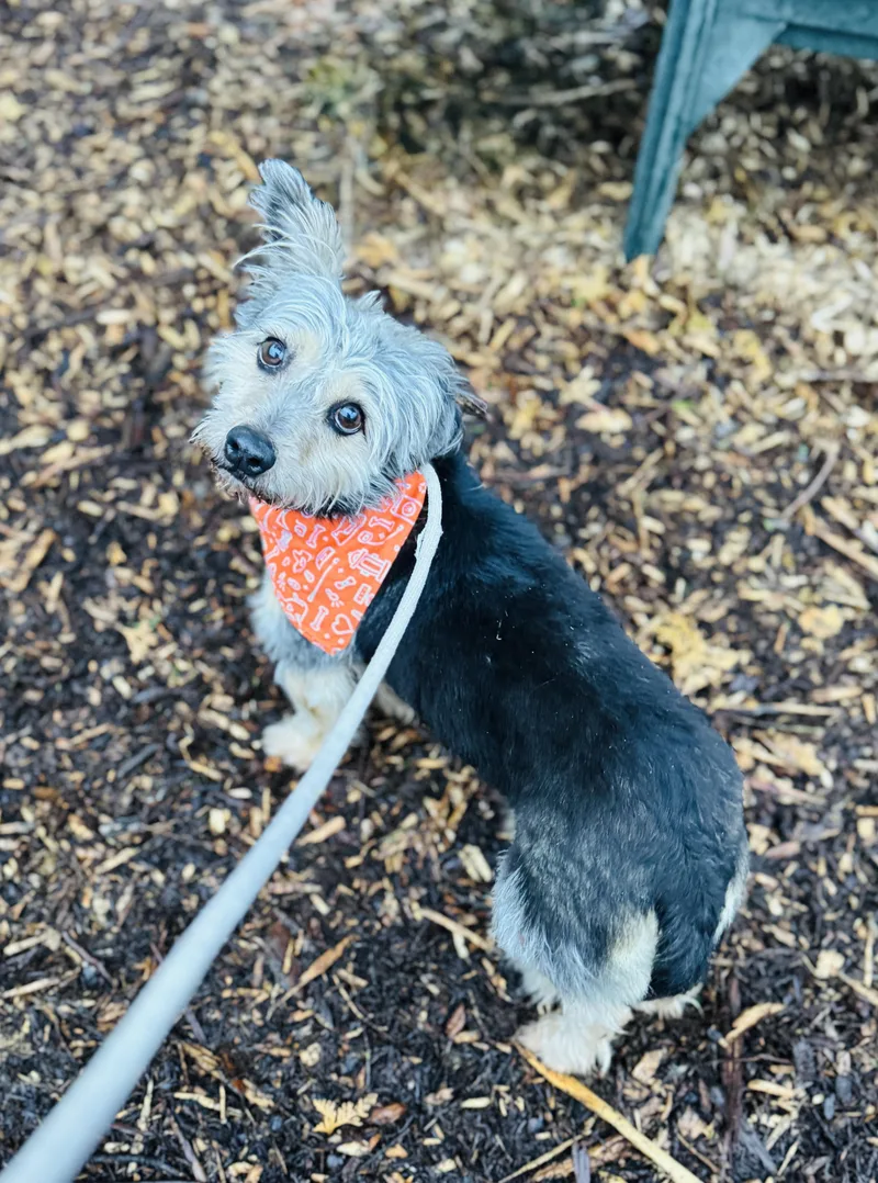 Lilianna thumbnail 6