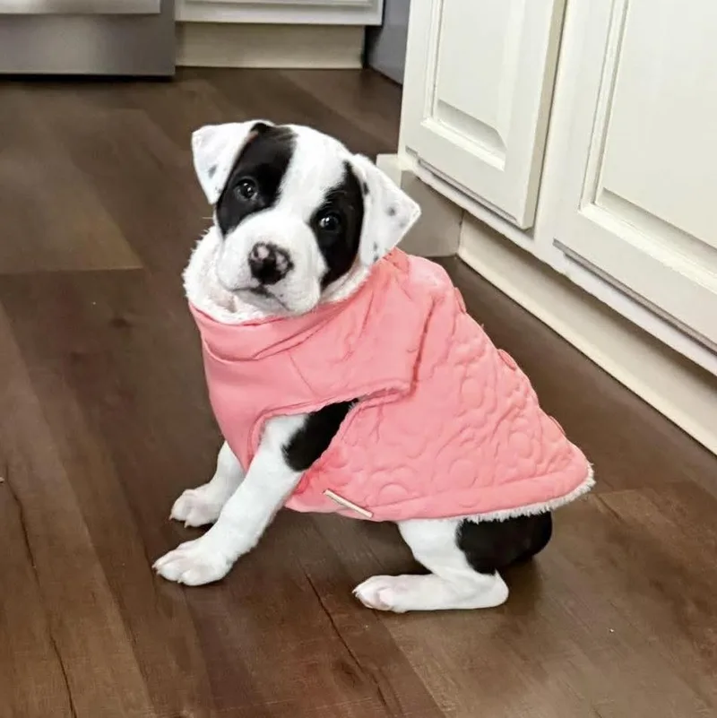 Miss Piggy thumbnail 2